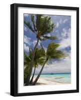 Fakarawa, Tuamotu Archipelago, French Polynesia Islands-Sergio Pitamitz-Framed Photographic Print