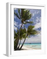 Fakarawa, Tuamotu Archipelago, French Polynesia Islands-Sergio Pitamitz-Framed Photographic Print