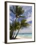 Fakarawa, Tuamotu Archipelago, French Polynesia Islands-Sergio Pitamitz-Framed Photographic Print