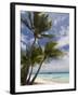 Fakarawa, Tuamotu Archipelago, French Polynesia Islands-Sergio Pitamitz-Framed Photographic Print