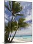 Fakarawa, Tuamotu Archipelago, French Polynesia Islands-Sergio Pitamitz-Mounted Photographic Print