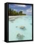 Fakarawa, Tuamotu Archipelago, French Polynesia Islands-Sergio Pitamitz-Framed Stretched Canvas