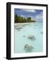 Fakarawa, Tuamotu Archipelago, French Polynesia Islands-Sergio Pitamitz-Framed Photographic Print