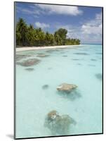 Fakarawa, Tuamotu Archipelago, French Polynesia Islands-Sergio Pitamitz-Mounted Photographic Print