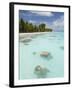 Fakarawa, Tuamotu Archipelago, French Polynesia Islands-Sergio Pitamitz-Framed Photographic Print