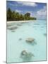 Fakarawa, Tuamotu Archipelago, French Polynesia Islands-Sergio Pitamitz-Mounted Photographic Print