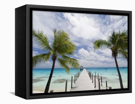 Fakarawa, Tuamotu Archipelago, French Polynesia Islands-Sergio Pitamitz-Framed Stretched Canvas