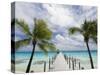 Fakarawa, Tuamotu Archipelago, French Polynesia Islands-Sergio Pitamitz-Stretched Canvas