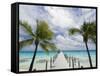 Fakarawa, Tuamotu Archipelago, French Polynesia Islands-Sergio Pitamitz-Framed Stretched Canvas