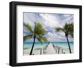 Fakarawa, Tuamotu Archipelago, French Polynesia Islands-Sergio Pitamitz-Framed Photographic Print