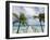 Fakarawa, Tuamotu Archipelago, French Polynesia Islands-Sergio Pitamitz-Framed Photographic Print