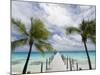 Fakarawa, Tuamotu Archipelago, French Polynesia Islands-Sergio Pitamitz-Mounted Photographic Print