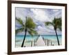 Fakarawa, Tuamotu Archipelago, French Polynesia Islands-Sergio Pitamitz-Framed Photographic Print