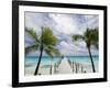 Fakarawa, Tuamotu Archipelago, French Polynesia Islands-Sergio Pitamitz-Framed Photographic Print