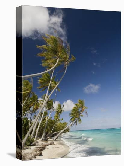 Fakarawa, Tuamotu Archipelago, French Polynesia Islands-Sergio Pitamitz-Stretched Canvas