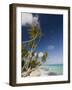 Fakarawa, Tuamotu Archipelago, French Polynesia Islands-Sergio Pitamitz-Framed Photographic Print