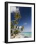 Fakarawa, Tuamotu Archipelago, French Polynesia Islands-Sergio Pitamitz-Framed Photographic Print