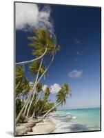 Fakarawa, Tuamotu Archipelago, French Polynesia Islands-Sergio Pitamitz-Mounted Photographic Print