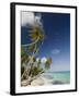 Fakarawa, Tuamotu Archipelago, French Polynesia Islands-Sergio Pitamitz-Framed Photographic Print