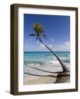 Fakarawa, Tuamotu Archipelago, French Polynesia Islands-Sergio Pitamitz-Framed Photographic Print