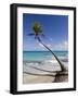 Fakarawa, Tuamotu Archipelago, French Polynesia Islands-Sergio Pitamitz-Framed Photographic Print