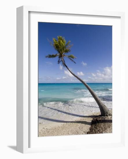 Fakarawa, Tuamotu Archipelago, French Polynesia Islands-Sergio Pitamitz-Framed Photographic Print