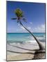 Fakarawa, Tuamotu Archipelago, French Polynesia Islands-Sergio Pitamitz-Mounted Photographic Print