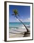 Fakarawa, Tuamotu Archipelago, French Polynesia Islands-Sergio Pitamitz-Framed Photographic Print