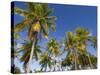 Fakarawa, Tuamotu Archipelago, French Polynesia Islands-Sergio Pitamitz-Stretched Canvas