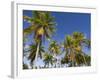 Fakarawa, Tuamotu Archipelago, French Polynesia Islands-Sergio Pitamitz-Framed Photographic Print