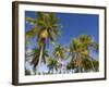 Fakarawa, Tuamotu Archipelago, French Polynesia Islands-Sergio Pitamitz-Framed Photographic Print