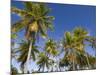 Fakarawa, Tuamotu Archipelago, French Polynesia Islands-Sergio Pitamitz-Mounted Photographic Print