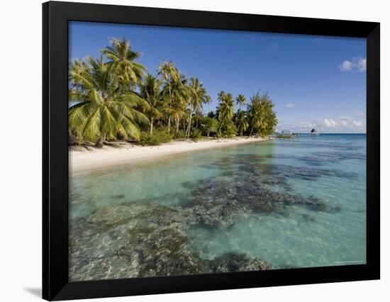 Fakarawa, Tuamotu Archipelago, French Polynesia Islands-Sergio Pitamitz-Framed Photographic Print