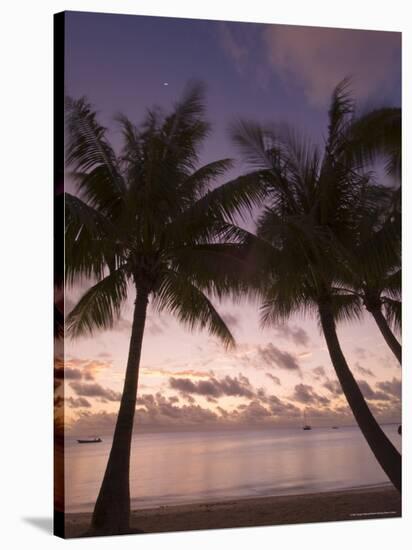 Fakarawa, Tuamotu Archipelago, French Polynesia Islands-Sergio Pitamitz-Stretched Canvas