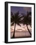 Fakarawa, Tuamotu Archipelago, French Polynesia Islands-Sergio Pitamitz-Framed Photographic Print