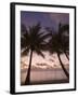 Fakarawa, Tuamotu Archipelago, French Polynesia Islands-Sergio Pitamitz-Framed Photographic Print