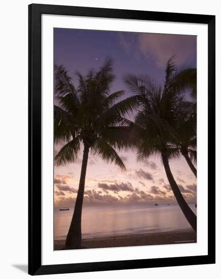 Fakarawa, Tuamotu Archipelago, French Polynesia Islands-Sergio Pitamitz-Framed Photographic Print