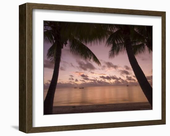 Fakarawa, Tuamotu Archipelago, French Polynesia Islands-Sergio Pitamitz-Framed Photographic Print