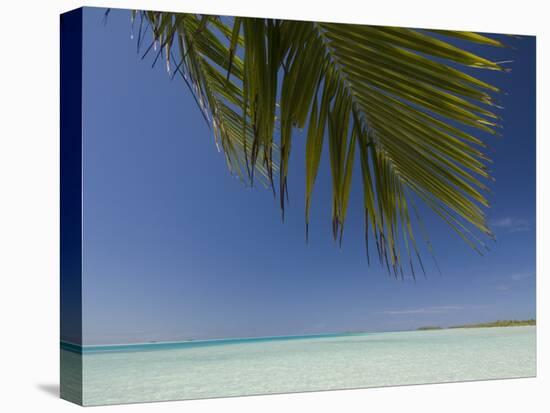 Fakarawa, Tuamotu Archipelago, French Polynesia Islands-Sergio Pitamitz-Stretched Canvas