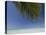 Fakarawa, Tuamotu Archipelago, French Polynesia Islands-Sergio Pitamitz-Stretched Canvas