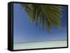 Fakarawa, Tuamotu Archipelago, French Polynesia Islands-Sergio Pitamitz-Framed Stretched Canvas