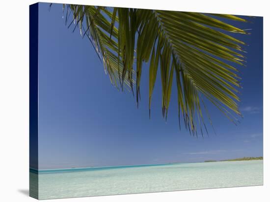 Fakarawa, Tuamotu Archipelago, French Polynesia Islands-Sergio Pitamitz-Stretched Canvas