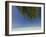 Fakarawa, Tuamotu Archipelago, French Polynesia Islands-Sergio Pitamitz-Framed Photographic Print