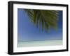 Fakarawa, Tuamotu Archipelago, French Polynesia Islands-Sergio Pitamitz-Framed Photographic Print