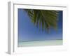 Fakarawa, Tuamotu Archipelago, French Polynesia Islands-Sergio Pitamitz-Framed Photographic Print