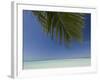 Fakarawa, Tuamotu Archipelago, French Polynesia Islands-Sergio Pitamitz-Framed Photographic Print