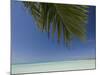 Fakarawa, Tuamotu Archipelago, French Polynesia Islands-Sergio Pitamitz-Mounted Photographic Print