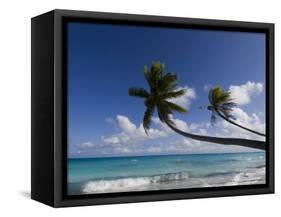 Fakarawa, Tuamotu Archipelago, French Polynesia, Pacific Islands, Pacific-Sergio Pitamitz-Framed Stretched Canvas