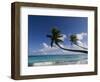 Fakarawa, Tuamotu Archipelago, French Polynesia, Pacific Islands, Pacific-Sergio Pitamitz-Framed Photographic Print