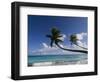 Fakarawa, Tuamotu Archipelago, French Polynesia, Pacific Islands, Pacific-Sergio Pitamitz-Framed Photographic Print